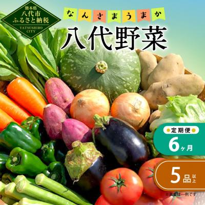 ふるさと納税 八代市 【定期便6回】なんさまうまか八代野菜セット 5品以上 やさい_001-2208-C
