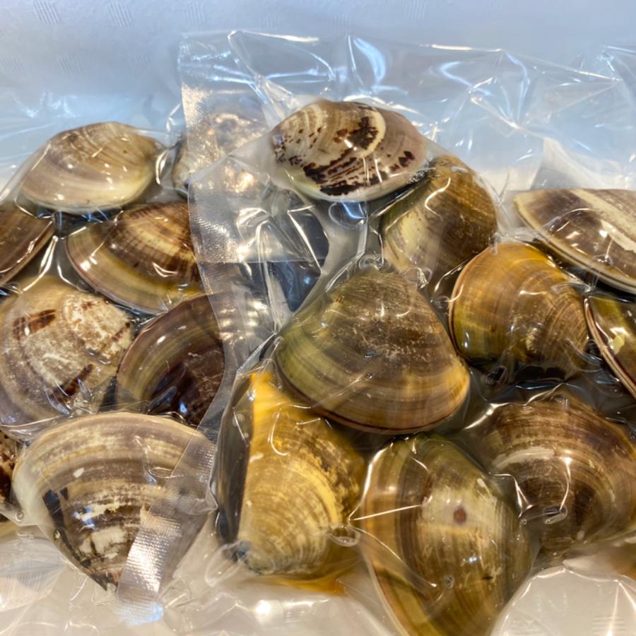 ＜岬水産＞天然「はまぐり」（中サイズ）500gx2(計1kg)