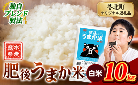 肥後うまか米 10kg 白米 訳あり《7-14日以内に出荷予定(土日祝除く)》