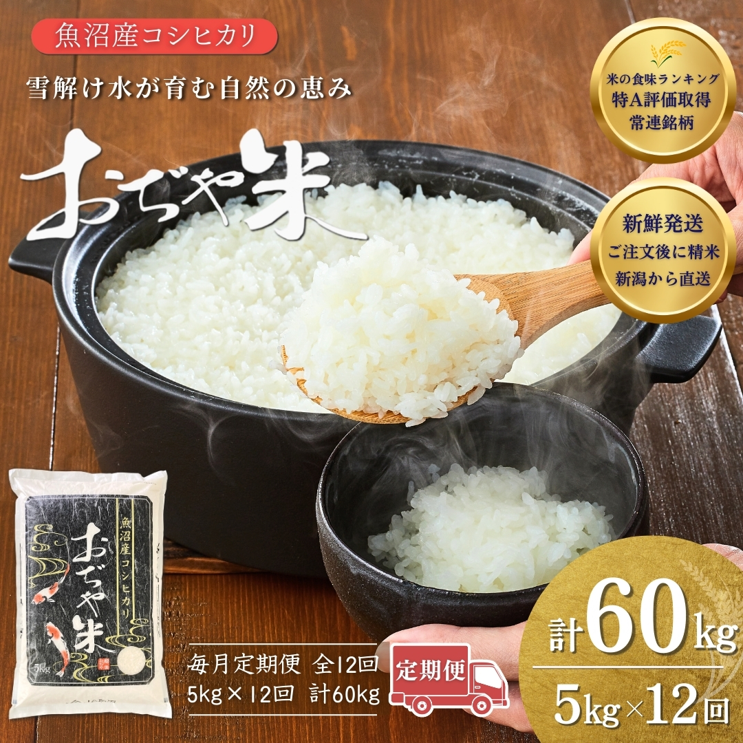 【12か月定期便（毎月発送）】 令和7年産 魚沼産コシヒカリ「おぢや米」 計60kg（5kg×1袋×全12回）【0002-JA07DB00-04】