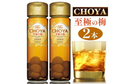 
The CHOYA 至極の梅 650ml × 2本 羽曳野商工振興株式会社《30日以内に出荷予定(土日祝除く)》大阪府 羽曳野市 送料無料 梅酒 梅 酒 CHOYA チョーヤ チョーヤ梅酒 お酒 紀州 南高梅
