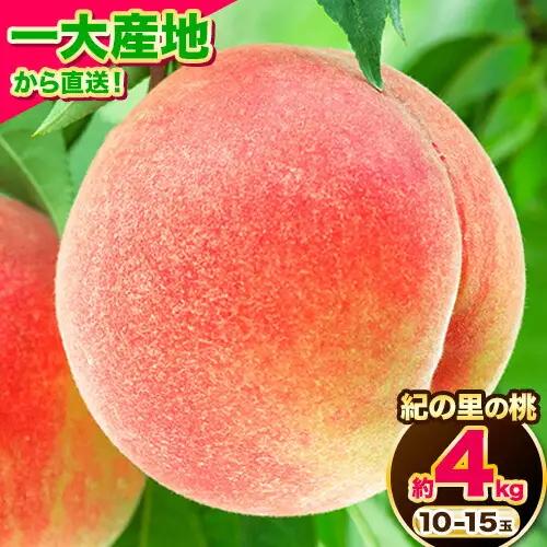 【2027年先行予約】桃 紀の里の 桃 約4kg