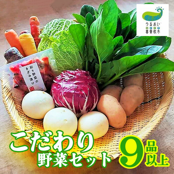 【ふるさと納税】＼6月から発送開始／ こだわり 野菜セット（9品以上）旬 野菜 詰め合わせ 国産 岩手 うるおい春夏秋冬 岩手県 北上市 C0493 旬野菜 季節の野菜 西洋野菜 紫人参 黄色人参 丸なす 水なす 小なす 長なす とうがらし 伏見とうがらし カラフル 野菜 シェフ御用達