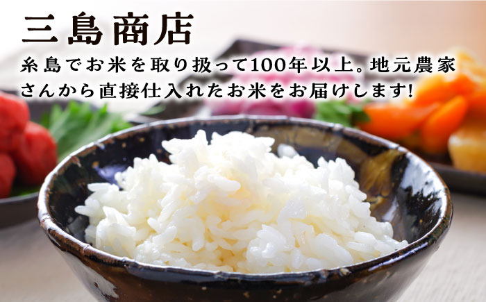 【全12回定期便】糸島産 ひのひかり 5kg × 12回 糸島市 / 三島商店 [AIM010]