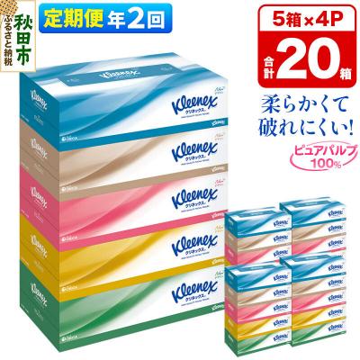 ふるさと納税 秋田市 《2回定期便》クリネックス ティシュー 20箱 ティッシュ|15_nsc-030402