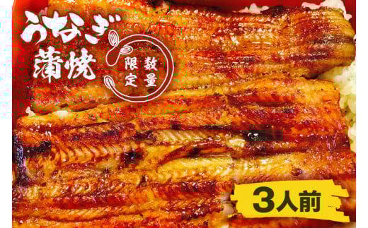 【蒲焼割烹 ぬりや】うなぎ蒲焼（真空パック）３人前 【鰻 ウナギ うなぎ　土用丑の日 土用 丑の日 かば焼き 蒲焼き 国産 うなぎ蒲焼 老舗】 （GW-4）