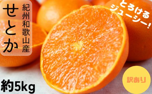 
                   【ご家庭用訳あり】 紀州 和歌山産 せとか 5kg 先行予約  / みかん フルーツ 果物 くだもの ※2027年2月中旬頃〜3月中旬頃発送（お届け日指定不可） ※離島への配送不可 【uot748A】
                