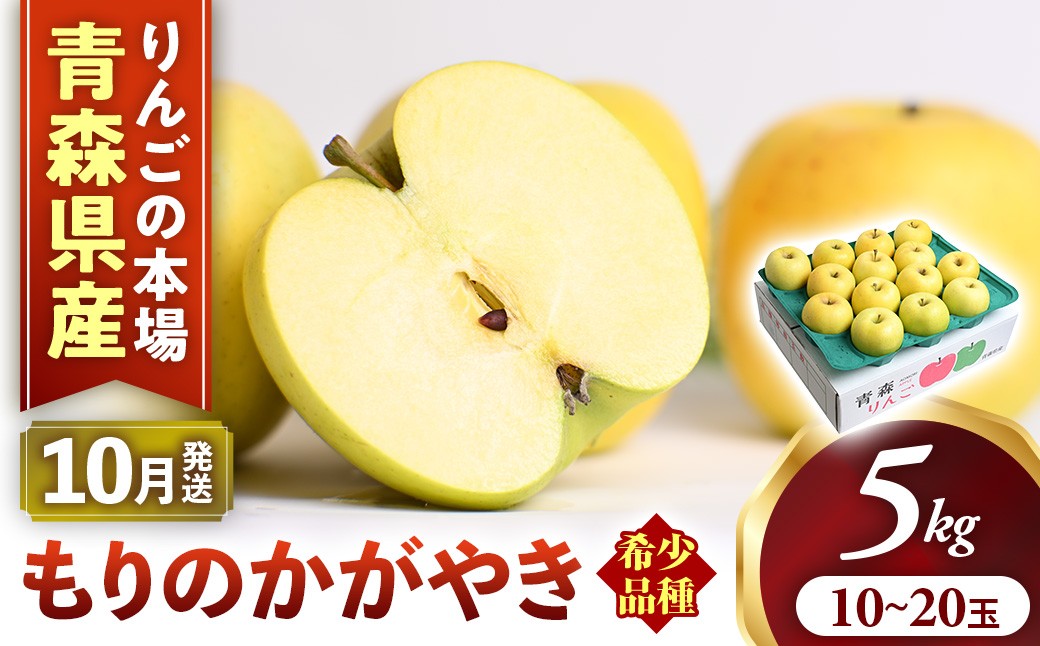 
                  希少！りんご【もりのかがやき】約5kg（10～20玉）【2026年産・先行予約】★2026年10月上旬～10月下旬頃まで発送予定★ りんご 林檎 リンゴ 国産 もりのかがやき 希少 フルーツ 果物 贈答 土産 青森県 三戸町 AK-19-024
                
