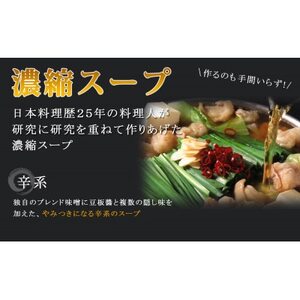 【訳あり】トメ子精肉店　国産牛もつ鍋セット　赤辛味　10人前(大牟田市)【配送不可地域：離島】【1281805】