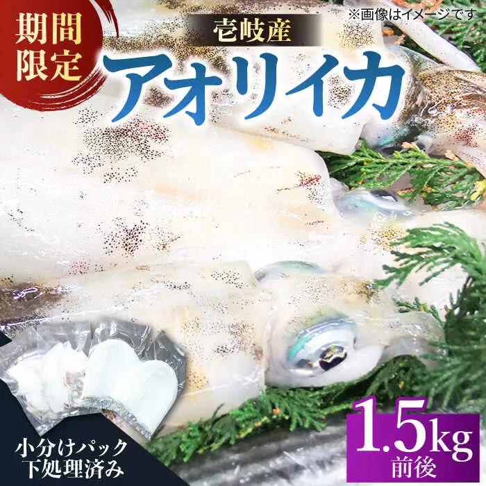 アオリイカ（水イカ）1,500g前後 [JCG019] イカ 刺身