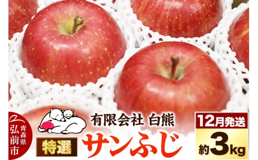 【26年12月発送】りんご 特選 白熊 サンふじ 絆 約3kg（9～12玉程度）糖度13度 先行受付 [先行予約 アップル おいしい ふじ りんご 果実 果物 赤色 糖度 美味 林檎]