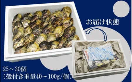 2113R_生食用殻付き牡蠣「Ostra Kunisaki」25～30個（殻付き重量40～100g/個）