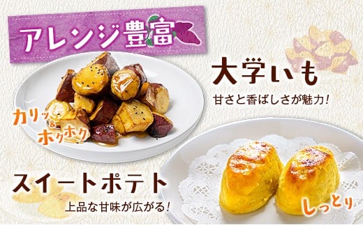 長期熟成 紅はるか 計1kg 宮崎県都城市産 さつまいも サツマイモ 計1kg