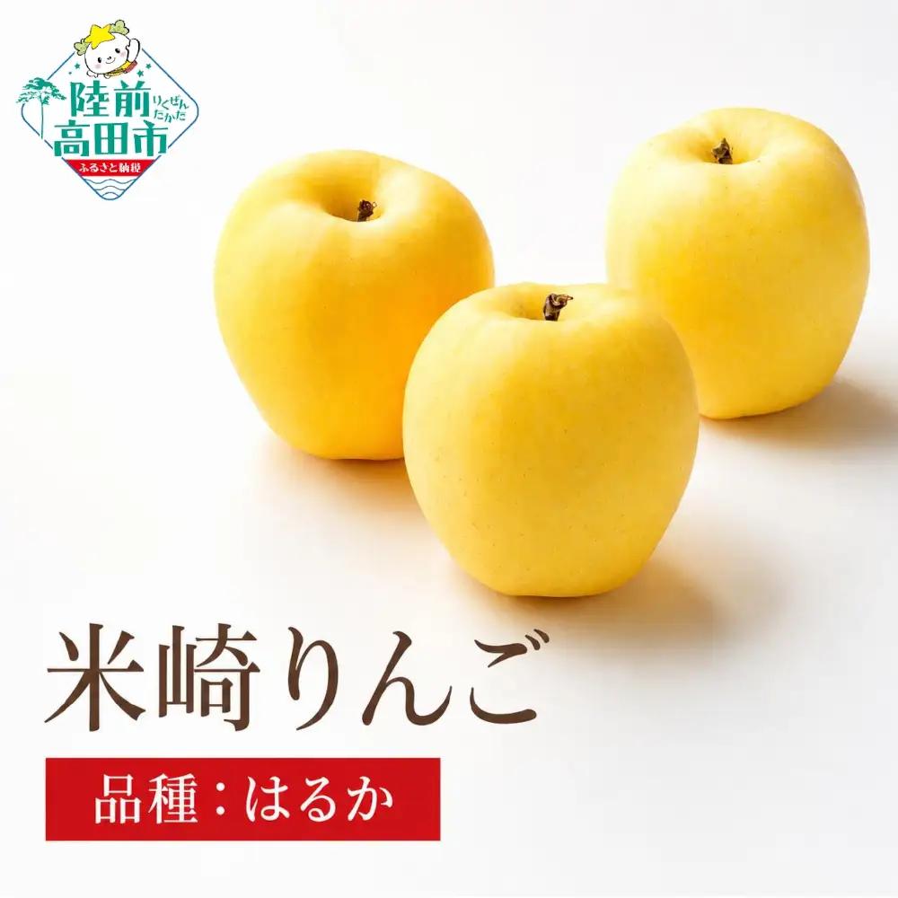りんご はるか 約5kg 果物 米崎りんご マルキヨファーム