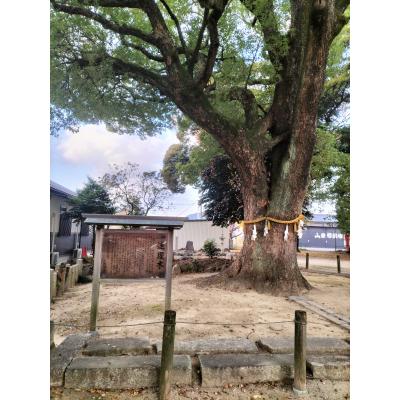 ふるさと納税 小牧市 SV連理木リング〈1.8mm幅〉(13号)[016K28-08] |  | 03