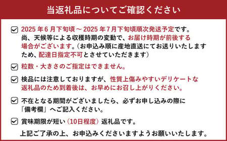 シャインマスカット 約2kg（3～7房）【2025年6月下旬～7月下旬発送予定】 果物 くだもの フルーツ マスカット ぶどう ブドウ 葡萄