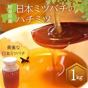 【ふるさと納税】岐阜県産 日本ミツバチのハチミツ 1kg F6M-071