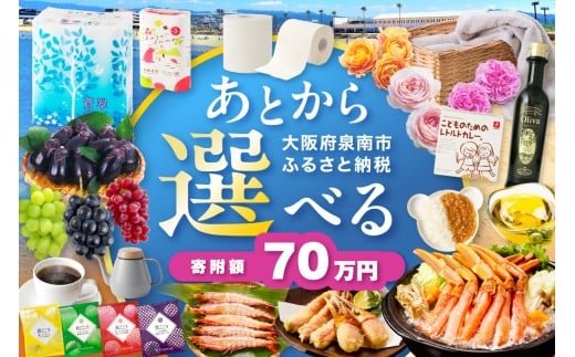 あとからセレクト【ふるさとギフト】70万円【119A-008】