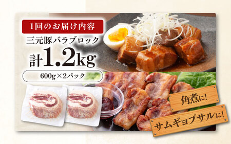 【全6回定期便】平田牧場 バラ ブロック 1.2kg (600g×2P) 豚肉 煮豚 [AJAP108]