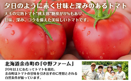 【定期便12ヶ月】 北海道 完熟トマト 酎ハイ ×2箱 (1箱 350ml 24本) 酒 セイコーマート セコマ Secoma
