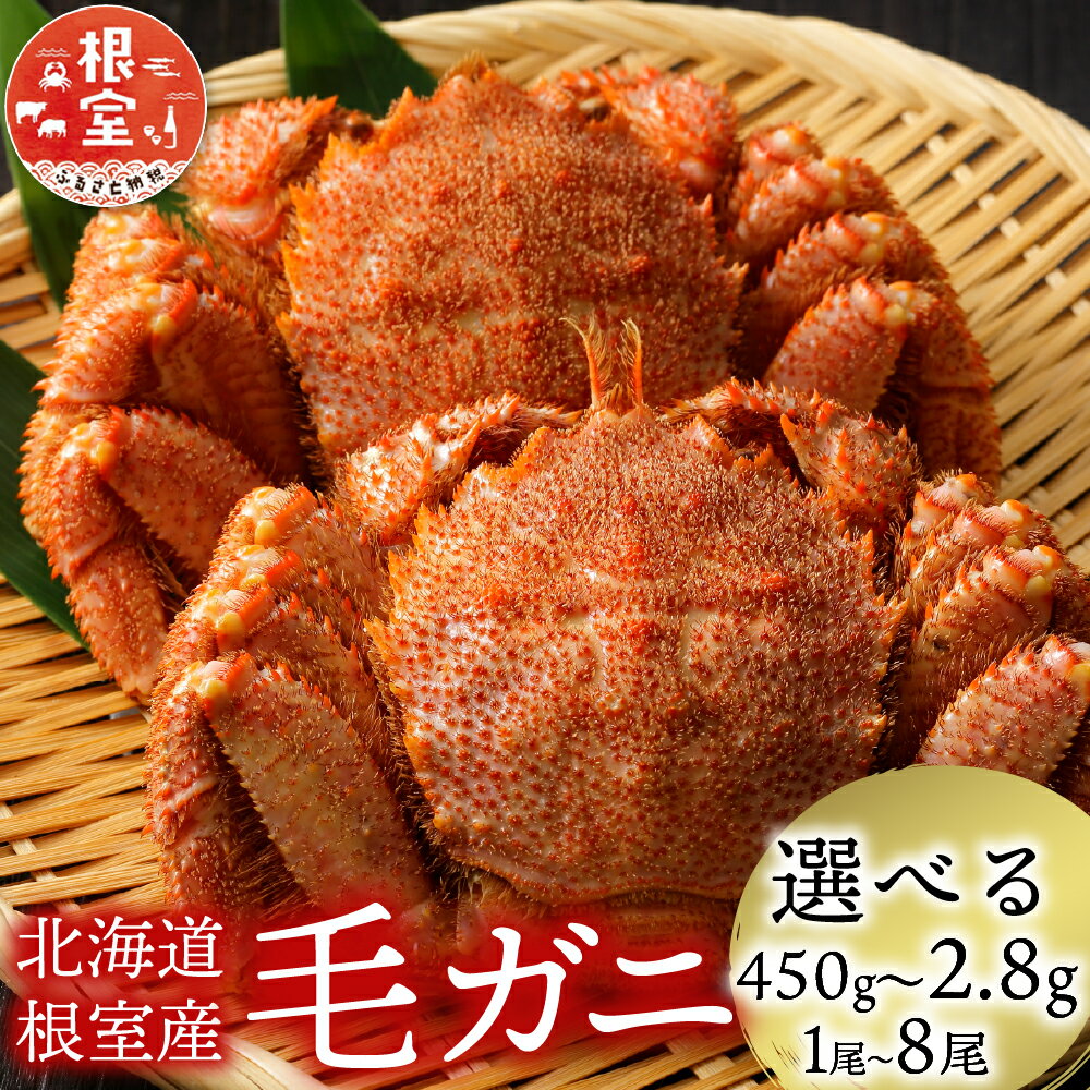 【ふるさと納税】 [北海道根室産] 毛がに 選べる 1 尾 ~ 8 尾 カニ 蟹 かに 毛蟹 毛ガニ 海鮮 海産 お取り寄せ グルメ ボイル 茹で蟹 茹でがに 茹でガニ 浜茹で 北海道 根室市 ふるさと納税