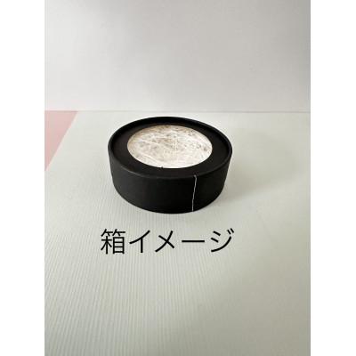 ふるさと納税 直方市 漆喰の花「ラコッタ」シャクヤク　グリーンB |  | 02