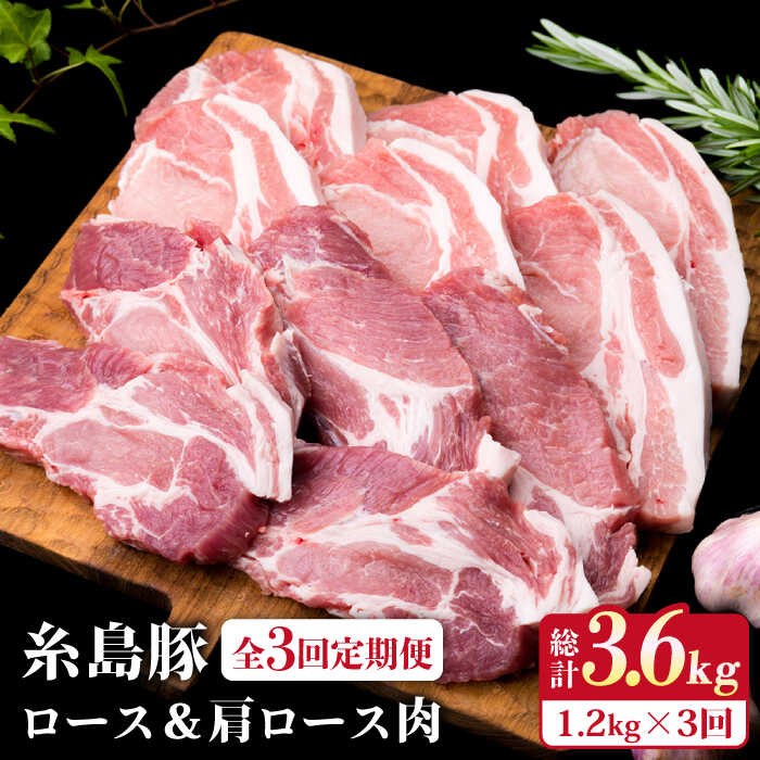 【ふるさと納税】【全3回定期便】糸島豚 ロース肉 6枚 肩ロース肉 5枚 計11枚セット《糸島》【糸島ミートデリ工房】 [ACA229] 29000円