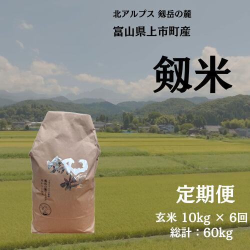【ふるさと納税】【毎月1回お届け】【定期便】【令和7年産】上市町産コシヒカリ「剱米」（玄米）10kg x 6回 計60kg　 [ソムリエH 富山県 上市町 32280253-r6-04】 米 6ヶ月 6回定期便 定期購入 お米 コメ ご飯 ごはん 玄米ご飯 玄米ごはん こしひかり 富山県産