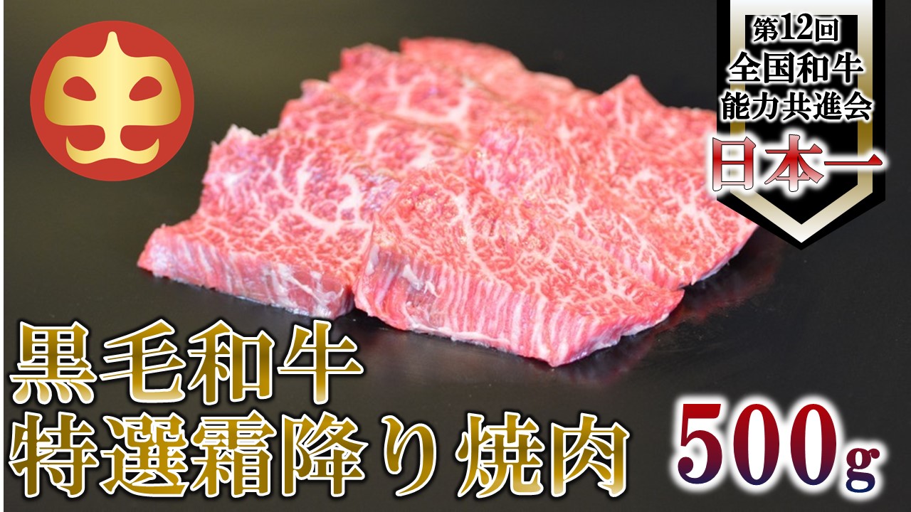【うしの中山】 霜降り 焼肉 用 500g