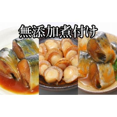 ふるさと納税 根室市 無添加煮付けレトルト(さんま・いわし・ほたて) B-09048