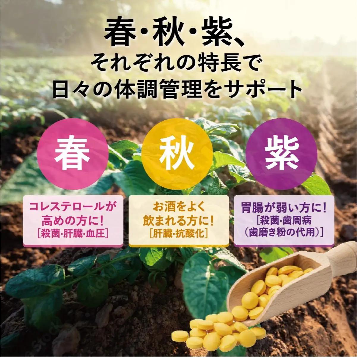 ウコン　春・秋・紫ウコン【粒：つぶ】３点セット   