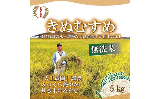 ＜令和7年産＞大上農園のきぬむすめ(無洗米・5kg) 【鳥取県 境港市】
