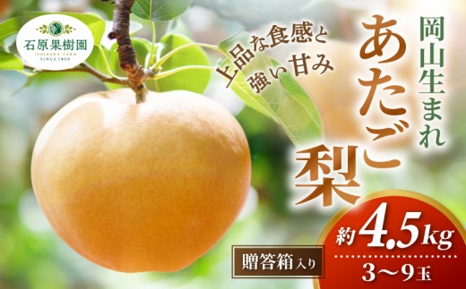 
                  梨 あたご梨 先行予約 4.5kg 3-9玉 贈答箱 赤秀 岡山県産 | あたご梨 愛宕梨 梨 特選品 上級品 贈り物 御歳暮 果物 くだもの フルーツ 和梨 石原果樹園 【ishk013-01】
                