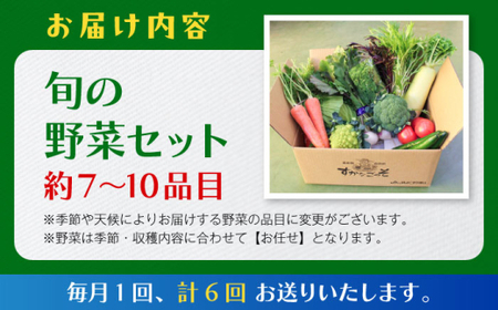 【全6回定期便】よこすか野菜セット すかなボックス／野菜 旬 セット  【JAよこすか葉山】[ASCB003]