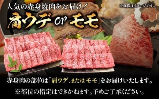 【12月末までにお届け】【畜産農家応援】数量限定 厳選 宮崎牛 赤身 焼肉 計500g 粗挽きウインナー 牛肉 国産焼き肉 BBQ 鉄板焼き バーベキュー 人気 黒毛和牛 肩ウデ モモ A4 A5 等