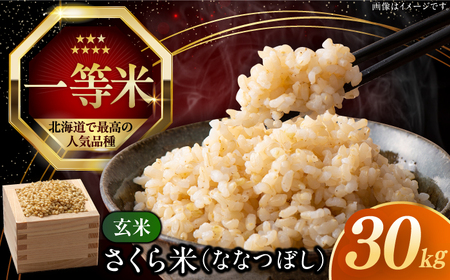【令和7年産】 玄米 ななつぼし さくら米 30kg 玄米 [AXAB036]