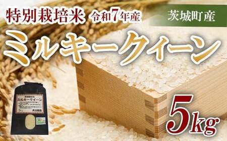 179【令和7年産】ミルキークイーン 奥谷さんちの特別栽培米 5kg【奥谷農園】