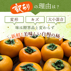 【訳あり・ご家庭用】たねなし柿「渋あり」約訳あり 7kg【9月下旬～11月上旬頃順次発送】【CD-wann004】
