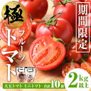 【ふるさと納税】≪先行予約受付中！2024年12月〜2025年5月の間に発送予定≫ ＜期間限定＞極トマト おまかせセット2kg以上 (ミニトマト・大玉トマト) フルーツトマト とまと トマト 野菜 青果 旬 ミニトマト 大玉 お弁当 料理 期間限定 【末永農園】