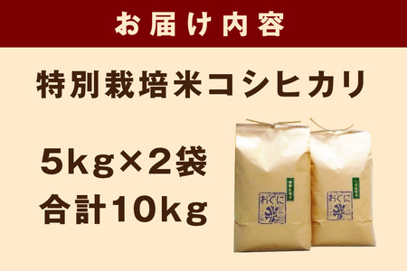 【令和5年産】浜田市金城町産の美味しいコシヒカリ100％【おぐに米】10kg 10キロ 米 おこめ コシヒカリ 白米 精米 特産品 ごはん お取り寄せ 小分け 【170】