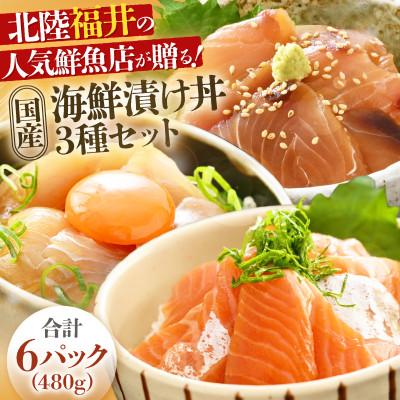 ふるさと納税 あわら市 北陸福井の人気鮮魚店が贈る!海鮮漬け丼 3種セット 6パック(480g)(冷凍真空パック)