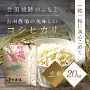 【ふるさと納税】＜令和6年産 新米＞竹田城跡の麓 吉田農場の美味しいコシヒカリ（玄米）20kg コシヒカリ こしひかり コメ こめ 米 ごはん ご飯 玄米 20キロ 兵庫県 朝来市 AS1D1