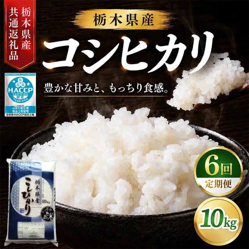 【6回定期便】お米アドバイザー 泉 智が厳選！ 栃木県産コシヒカリ 10kg