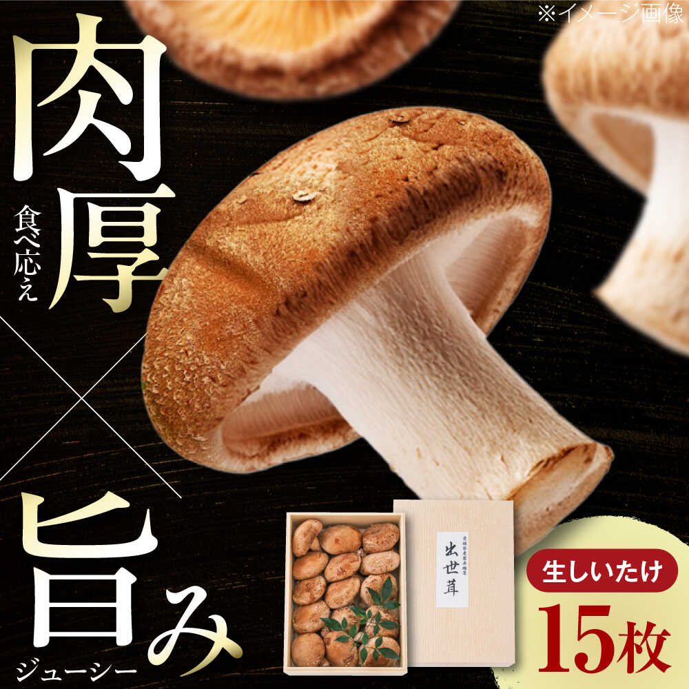 【ふるさと納税】生しいたけ 15枚入 ／ しいたけ 椎茸 シイタケ 生シイタケ 生椎茸 きのこ キノコ 野菜 15枚 15 愛媛県 内子町 内子町産 国内産 国産 送料無料 人気 食材 食品 おすすめ バーベキュー BBQ キャンプ【株式会社フジ・アグリフーズ】[BKAY014] 12000 12000円