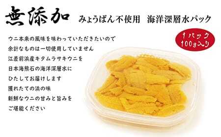 【令和7年発送予約】北海道 江差前浜産 生うに たっぷり 1kg（100g×10パック）【無添加・みょうばん不使用】江差産天然キタムラサキウニ　日本海熊石産海洋深層水　塩水ウニ　素材を生かした自然の味