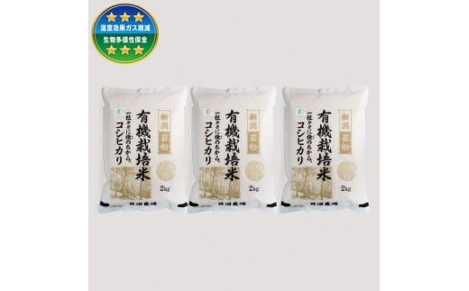 【令和7年産米】 有機栽培米コシヒカリ 白米 6kg（2kg×3袋） 新潟県村上市岩船産 オーガニック　1067150