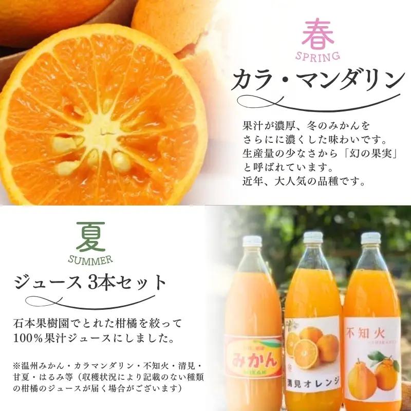 【春夏秋冬】柑橘 定期便 石本果樹園【全4回】【tkb508】