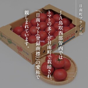 【期間限定】【北海道・離島へ発送不可】日南トマト(登録商標)　約4kg（20～24玉／箱） トマト とまと 鳥取県 日南町