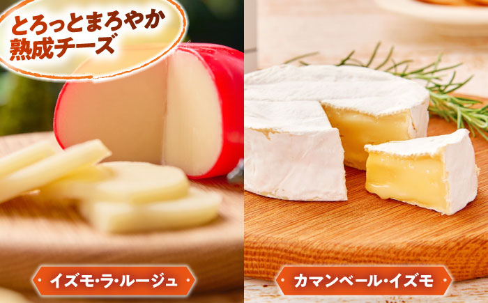 大満足の美味しさ！乳製品セットDX（プリン・ヨーグルト・4種のチーズ）島根県雲南市/木次乳業有限会社 [AIBH012]