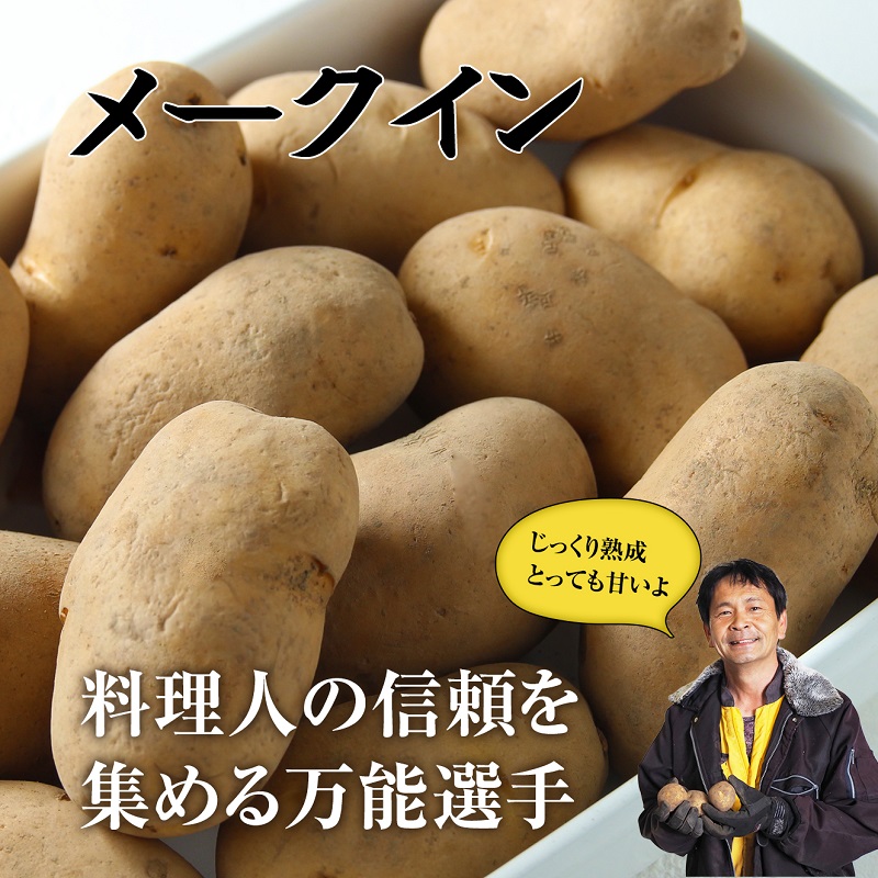 北海道産 熟成じゃがいも メークイン 10kg  期間限定 雪室貯蔵 十勝産 ジャガイモ じゃが芋 いも 甘い